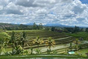 North Bali: Lake Temple, Twin Waterfall, UNESCO Rice Field