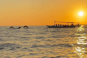 North Bali : Lovina Watching Dolphins And Sunrises Tour
