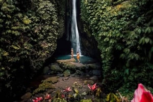 Nord di Bali: Foresta delle scimmie - Acquazzone - Terrazzamenti di riso - Ulun Danu