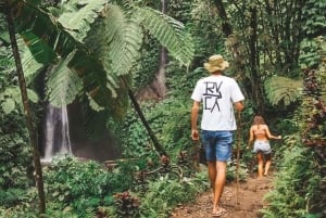 Nord di Bali: Foresta delle scimmie - Acquazzone - Terrazzamenti di riso - Ulun Danu