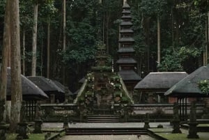 Nord di Bali: Foresta delle scimmie - Acquazzone - Terrazzamenti di riso - Ulun Danu