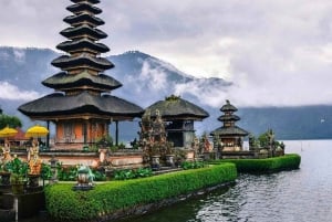 Nord di Bali: Foresta delle scimmie - Acquazzone - Terrazzamenti di riso - Ulun Danu