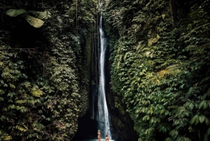 Nord di Bali: Foresta delle scimmie - Acquazzone - Terrazzamenti di riso - Ulun Danu