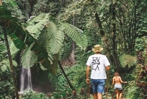 Nord di Bali: Foresta delle scimmie - Acquazzone - Terrazzamenti di riso - Ulun Danu