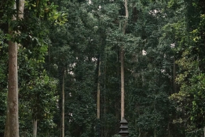 Nord di Bali: Foresta delle scimmie - Acquazzone - Terrazzamenti di riso - Ulun Danu