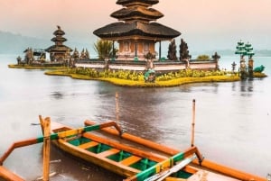 Nord di Bali: Foresta delle scimmie - Acquazzone - Terrazzamenti di riso - Ulun Danu