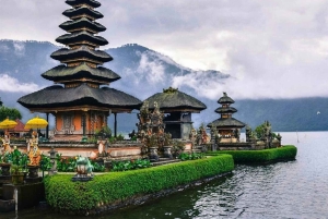 Nord di Bali: Foresta delle scimmie - Acquazzone - Terrazzamenti di riso - Ulun Danu