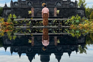North Bali: Private Day Tour with Customizable Itinerary