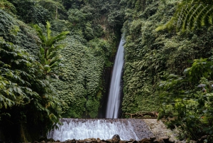 North Bali: Private Day Tour with Customizable Itinerary
