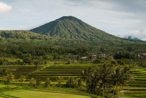 North Bali: Private Day Tour with Customizable Itinerary
