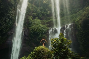 North Bali: Private Day Tour with Customizable Itinerary