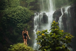 North Bali: Private Day Tour with Customizable Itinerary