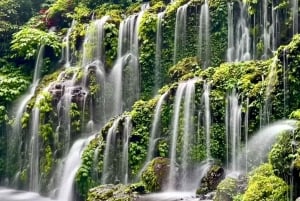 バリ島北部の絶景インスタグラムツアー（クルーズ寄港地観光
