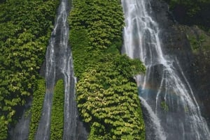 North Bali: Sekumpul and Banyumala Waterfalls & Rice Terrace