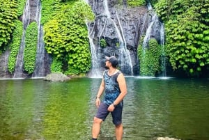 North Bali: Sekumpul and Banyumala Waterfalls & Rice Terrace