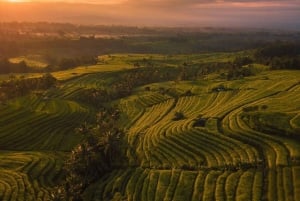 North Bali: Sekumpul and Banyumala Waterfalls & Rice Terrace