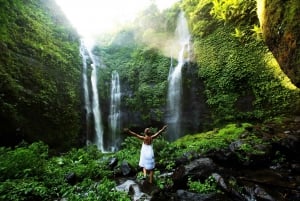 Noord-Bali: Sekumpul Watervallen en Ulun Danu Tempel Tour