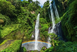 North Bali: Sekumpul Waterfalls and Ulun Danu Temple Tour