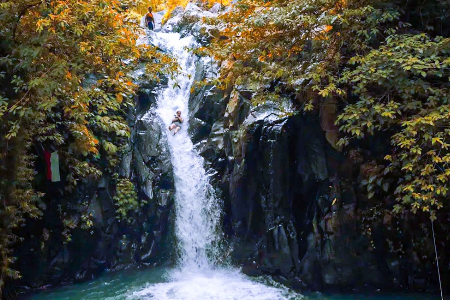 North Bali: Sunrise Dolphin Tour for Nature Lover & Explorer