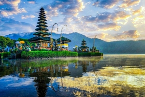 North Bali: Sunrise Dolphin Tour for Nature Lover & Explorer