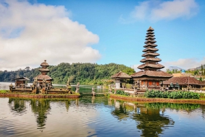 North Bali: Sunrise Tour with Dolphins, Waterfalls & Temples