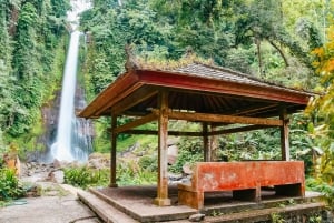 North Bali: Sunrise Tour with Dolphins, Waterfalls & Temples