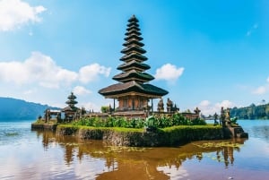 North Bali: Sunrise Tour with Dolphins, Waterfalls & Temples