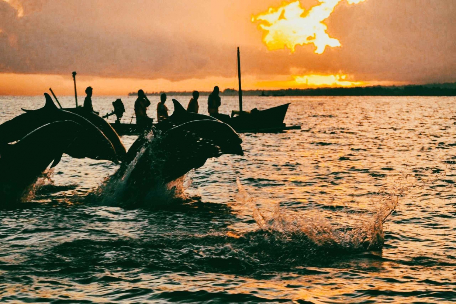 Nord-Bali: Svøm, snorkling og frokost med delfiner på Lovina