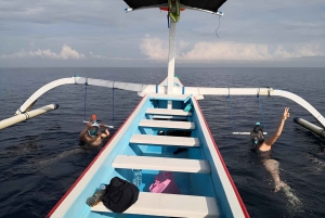 Det nordlige Bali: Svømning, snorkling og morgenmad med delfiner ved Lovina