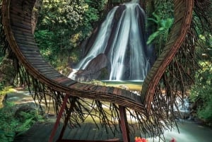 North Bali: Taman Ayun Temple, Jatiluwih, Campuhan Waterfall