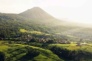 North Bali: Taman Ayun Temple, Jatiluwih, Campuhan Waterfall