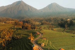 North Bali: Taman Ayun Temple, Jatiluwih, Campuhan Waterfall