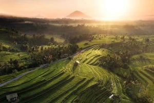 North Bali: Taman Ayun Temple, Jatiluwih, Campuhan Waterfall