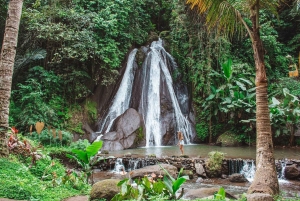 North Bali: Taman Ayun Temple, Jatiluwih, Campuhan Waterfall