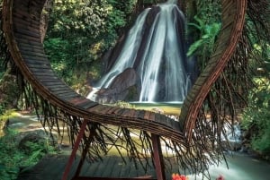 North Bali: Taman Ayun Temple, Jatiluwih, Campuhan Waterfall