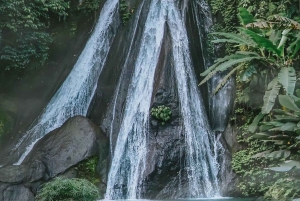 North Bali: Taman Ayun Temple, Jatiluwih, Campuhan Waterfall