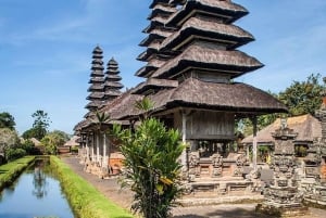 North Bali: Taman Ayun Temple, Jatiluwih, Campuhan Waterfall
