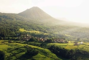 North Bali: Taman Ayun Temple, Jatiluwih, Campuhan Waterfall