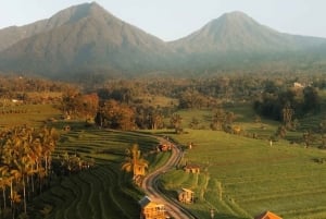 North Bali: Taman Ayun Temple, Jatiluwih, Campuhan Waterfall