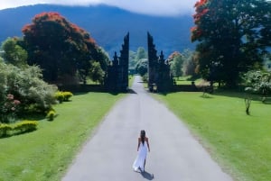 North Bali Tour to Discover The Culture of Bali Island