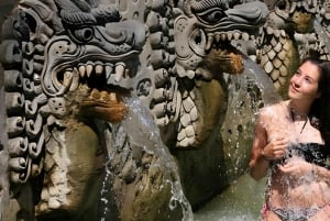 North Bali Tour to Discover The Culture of Bali Island