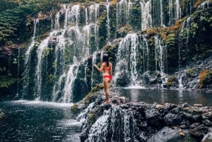 North Bali Trip with 2 Hidden Waterfalls Private Tour