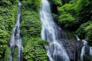 North Bali Trip with 2 Hidden Waterfalls Private Tour