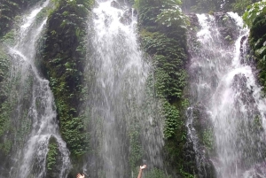 North Bali Trip with 2 Hidden Waterfalls Private Tour