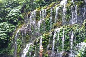 North Bali Trip with 2 Hidden Waterfalls Private Tour