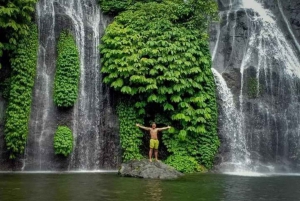 North Bali Trip with 2 Hidden Waterfalls Private Tour