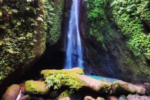 North Bali Trip with 2 Hidden Waterfalls Private Tour
