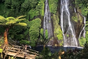 Norra Bali: Ulun Danu, Banyumala-vattenfallet och Jatiluwih-tur