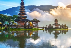 Norra Bali: Ulun Danu, vattenfall, gunga och apskog