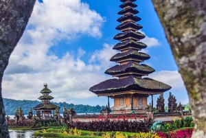 Norra Bali: Ulun Danu, vattenfall, gunga och apskog